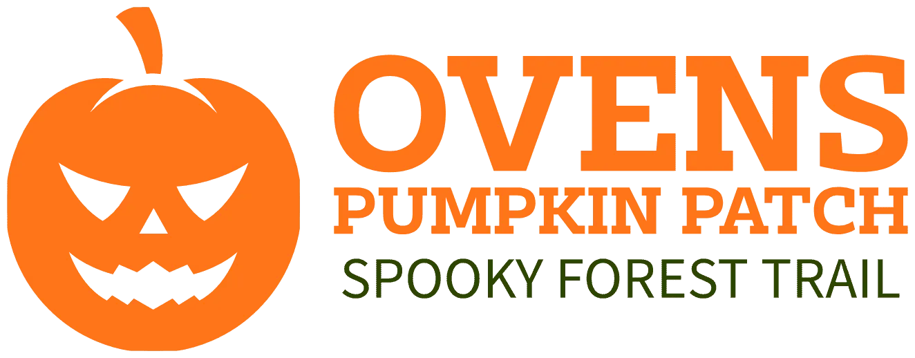 pumpkin patch cork
